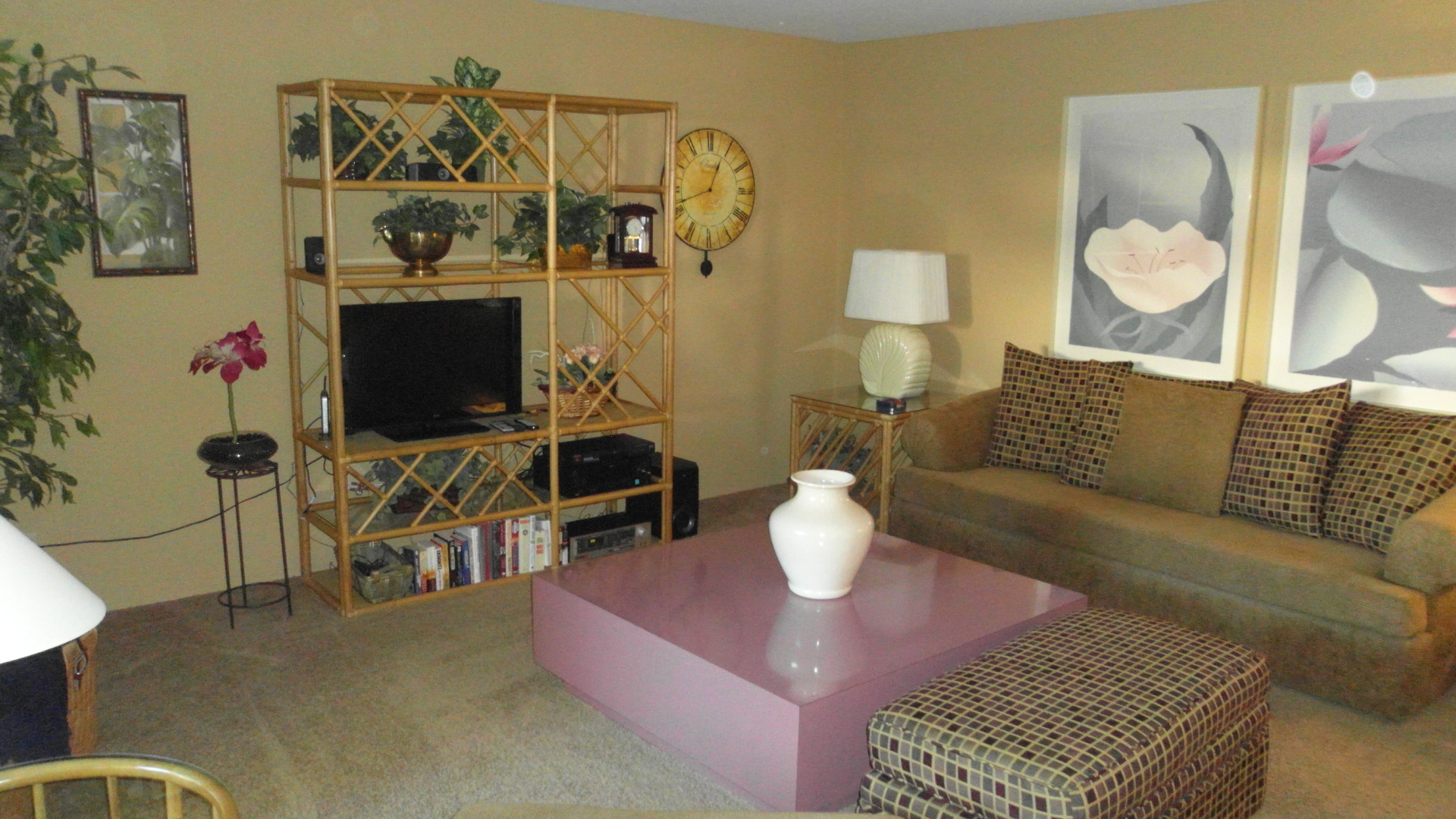 View of Living Room with Bamboo bookcase with TV